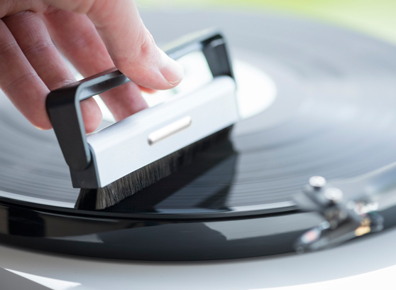 Pro-Ject Brush it - cecha 1